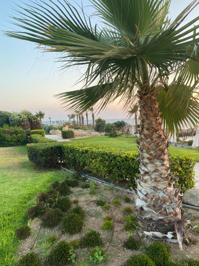 Royal Seacrest F G5 Ground Floor Apartment Paphos Kültér fotó