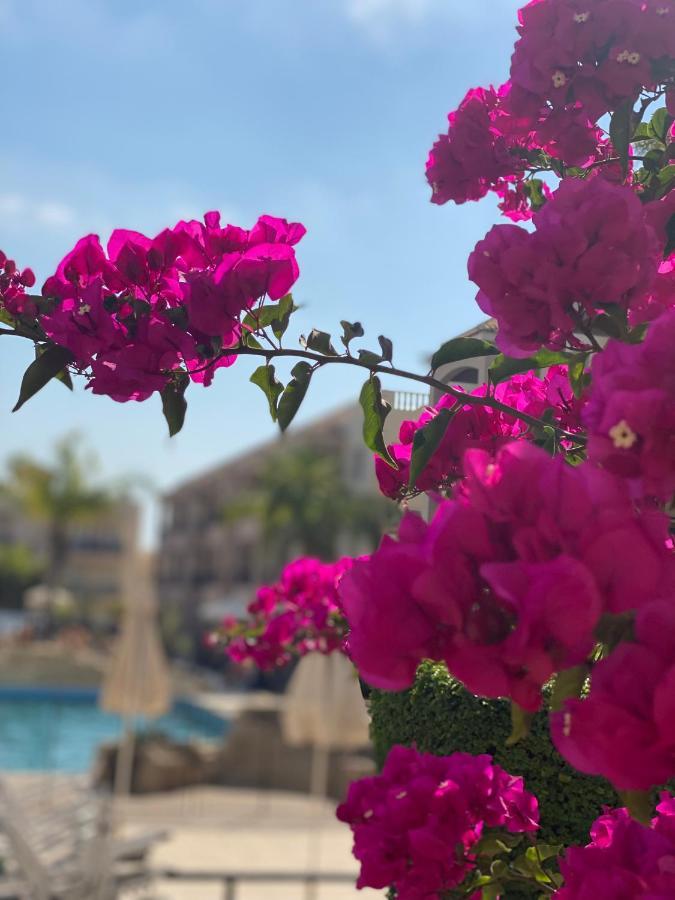 Royal Seacrest F G5 Ground Floor Apartment Paphos Kültér fotó